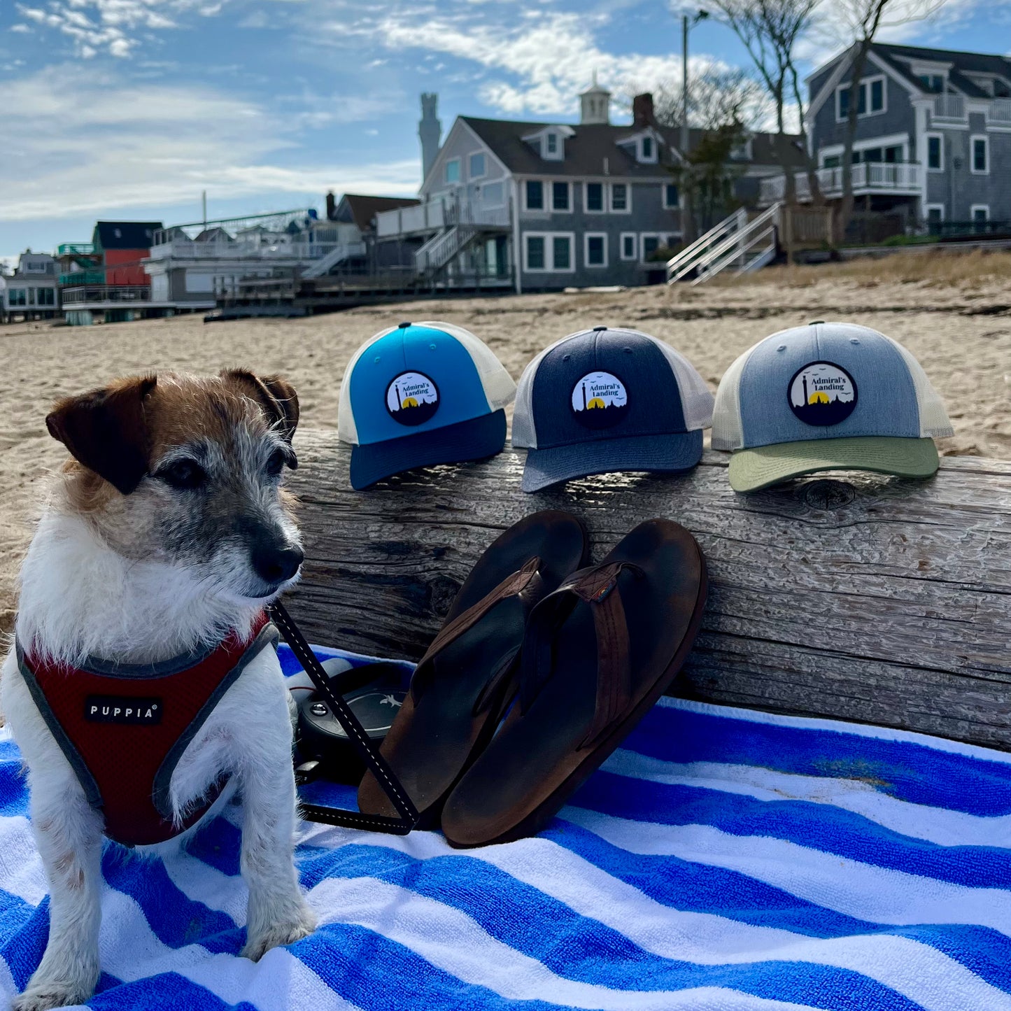 PTown Patch Hats